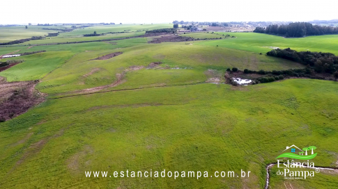 48 HA NO RS.00_00_26_17.Quadro005_5fd279b3a73f7ee577090ee38a086bc60222b5a2.png